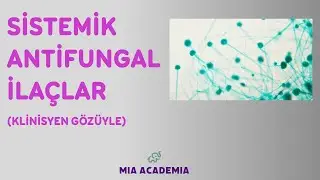 SİSTEMİK ANTİFUNGAL İLAÇLAR | SORULARLA KONU ANLATIMI - 6
