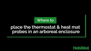 Where to place the thermostat and Heat Mat probe in an arboreal enclosure