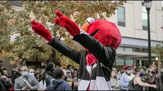 The Story of Philly Elmo
