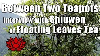 Between Two Teapots - Interview with Shiuwen of Floating Leaves Tea - LIVE