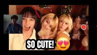 Cover | UNIS(유니스) - Call Me Maybe (원곡 : Carly Rae Jepsen) | REACTION