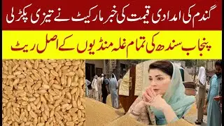 Breaking News Wheat price increase today Punjab | Wheat price increase today Punjab