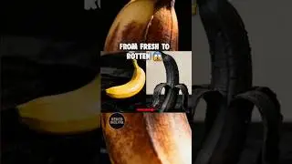 From Fresh to Rot: A Cinematic Banana Timelapse 🍌
