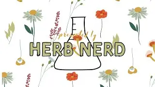 Welcome to Herb Nerd: a learning platform for herbalism and natural beauty product formulation