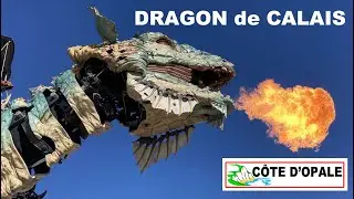 Dragon de Calais - C&ocirc;te d'Opale