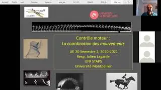 Cours magistral # 1 : Coordination et contr&ocirc;le moteur, L1 STAPS Montpellier