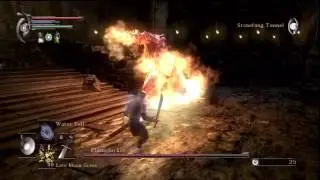 Demon's Souls Slvl 1 Boss:Flamelurker