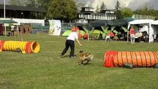 Ceri tuneliada - 24.08.2014
