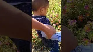 Alfi syahri ramadhan.main di taman bunga calecia