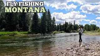Fly Fishing a BEAUTIFUL Remote River for TROUT! (Montana!)