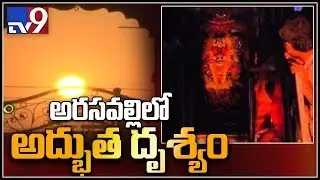Miracle at Arasavalli Suryanarayana Swamy temple || Srikakulam - TV9