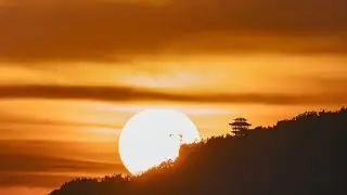 The Wonders of Beibei in 90 seconds