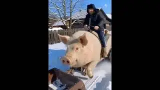 Поездка в Москву. На борьбу со снегом!