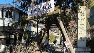 お家から鎌倉駅まで鎌倉さんぽしたよ⛩️                荏柄天神社〜段葛コース