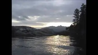 Kayaking with Sea Otter