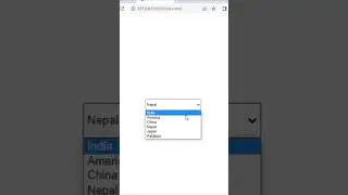 Select Tag | Select Drop Down Menu Design Using HTML CSS #shorts