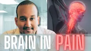 How Does Your Brain Create Pain?