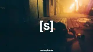 Swanbeats - Picture ft. Evolsi / freedownload.