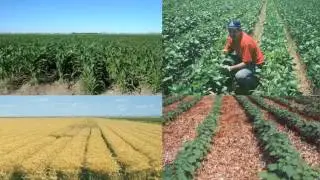 Mexico: Conservation agriculture for climate change mitigation and adaption &ndash; Bram Govaerts (part 1)