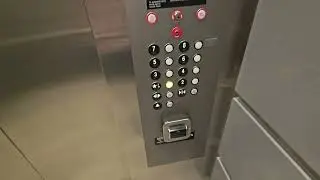 Лифты ThyssenKrupp Traction Elevators - отель Renaissance Tampa International Plaza - Тампа, Флорида