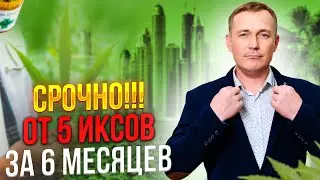 Срочно!!! От 5 иксов за 6 месяцев // S-Group акции медицинского каннабиса