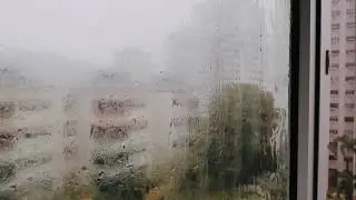 ASMR A Cosy Rainy Day at Home in Singapore | Simple Life | 雨天在家 | 雨の日