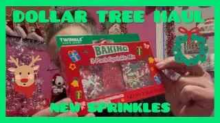 ✨BIG✨DOLLAR TREE HAUL | MERRY CHRISTMAS 🎄 EVE,EVE🫶 12.23.25
