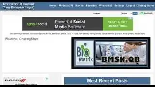 AZFL Stock Amazonas Florestal Ltd Message Board