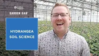 Hydrangea Soil Science