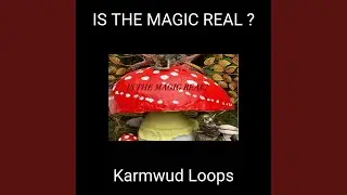 IS THE MAGIC REAL ?