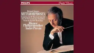 R. Strauss: Metamorphosen, TrV 290