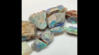 Top Quality, Australian Opal Rough Wood Fossil Replacement Material- Exquisite Colors and Patterns