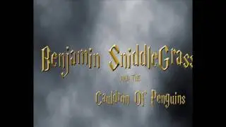 Benjamin SniddleGrass & The Cauldron Of Penguins (Test - With Music)