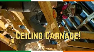 Homestead Reality: Freezing Wall Work, Overgrown Garden, and Bathroom Demolition