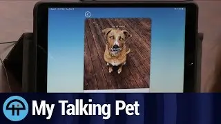 My Talking Pet