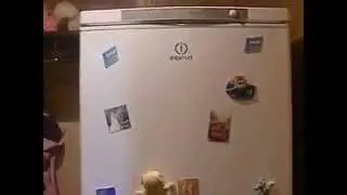 Обзор холодильника Indesit NBS 20 AA UA
