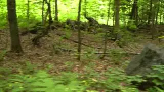 Penokee Hills Walk