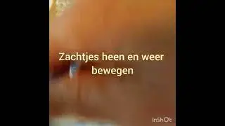 Het natvilten van wol.