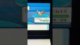 Shiny starly after 6670 re&rsquo;s (Gen 4 living dex) #pokemon #shiny #starly #diamond #pearl #platinum