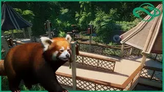 Red Panda Exhibit Speed Build!