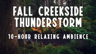 Fall Creekside Thunderstorm - Nature White Noise For Relaxing/Focus/Background - 10 Hour Ambience