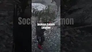 Red Dead Redemption 2: Sockeye Salmon Location #arrakisstudio #gaming #rdr2 #rdrgameplay #xbox