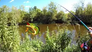 Walking with a Spinning Rod &ndash; Catch More Fish Anywhere