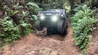 Devils Staircase  (Up) - Akatarawa Valley - April 2022