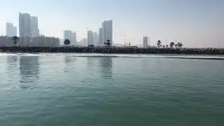 صيد ابو كمال حسون في الشارقة ليطعمي الطيور والقطط