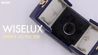 CHAUMET 081890 18K White Gold Bee My Love  Ring 쇼메 081890 18K화이트골드  비마이러브링 0 21캐럿 14P다이아 반지