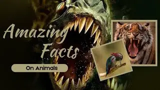 Amazing Facts  || Top 10 Amazing Facts On Animals || @WorldofHumanimal