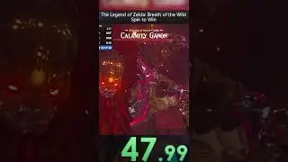Botw's Best Speedrun!