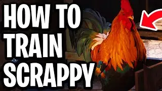 How To Train Scrappy Chicken On Arc Raiders - Full Guide