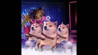 New Funny Dog Dance